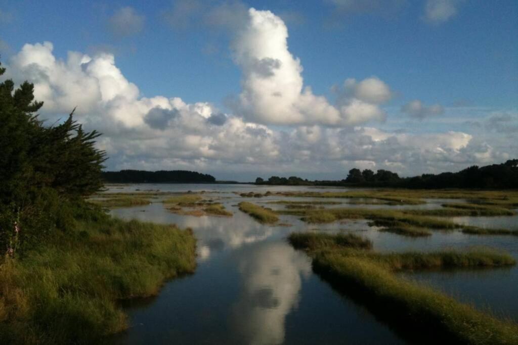 Maison avec jardin clos. Animaux acceptés - Wifi - Proche plages de la Trinité sur Mer et Carnac Extérieur photo